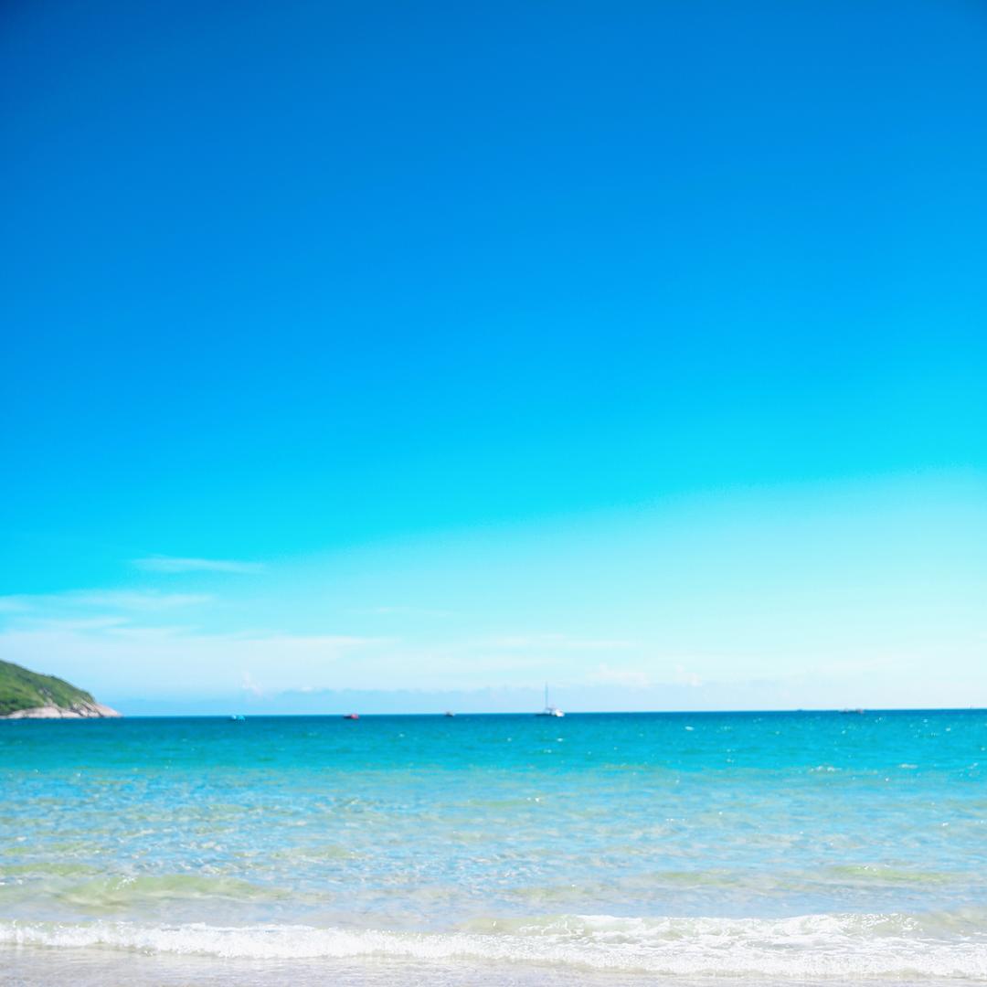 梅子熟时栀子香