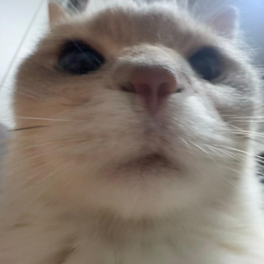 是阿垚啊