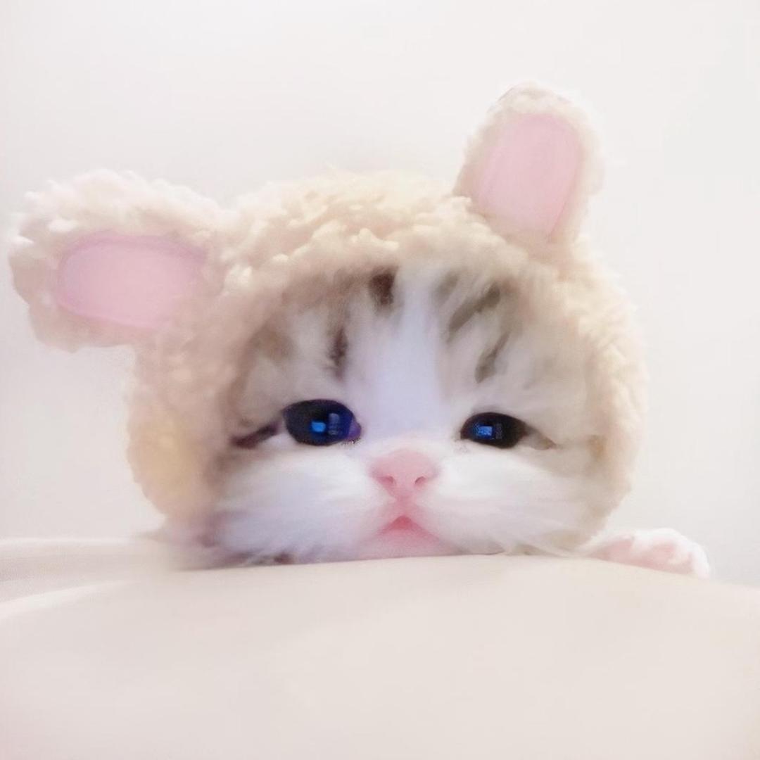泪萌萌