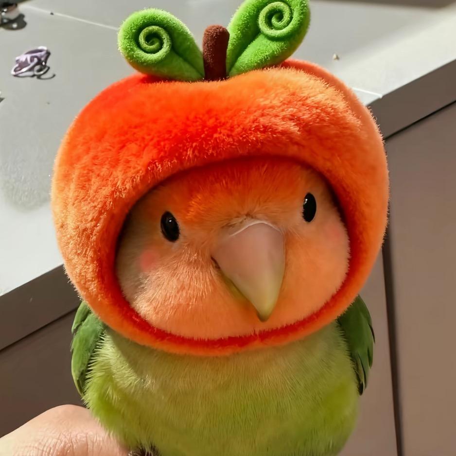 狗酱