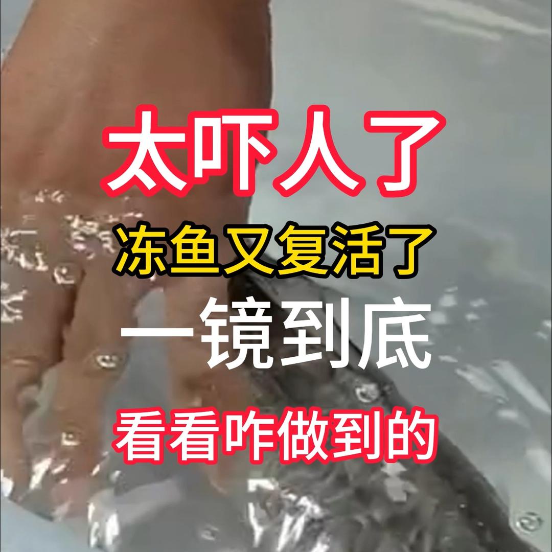 液体冰箱