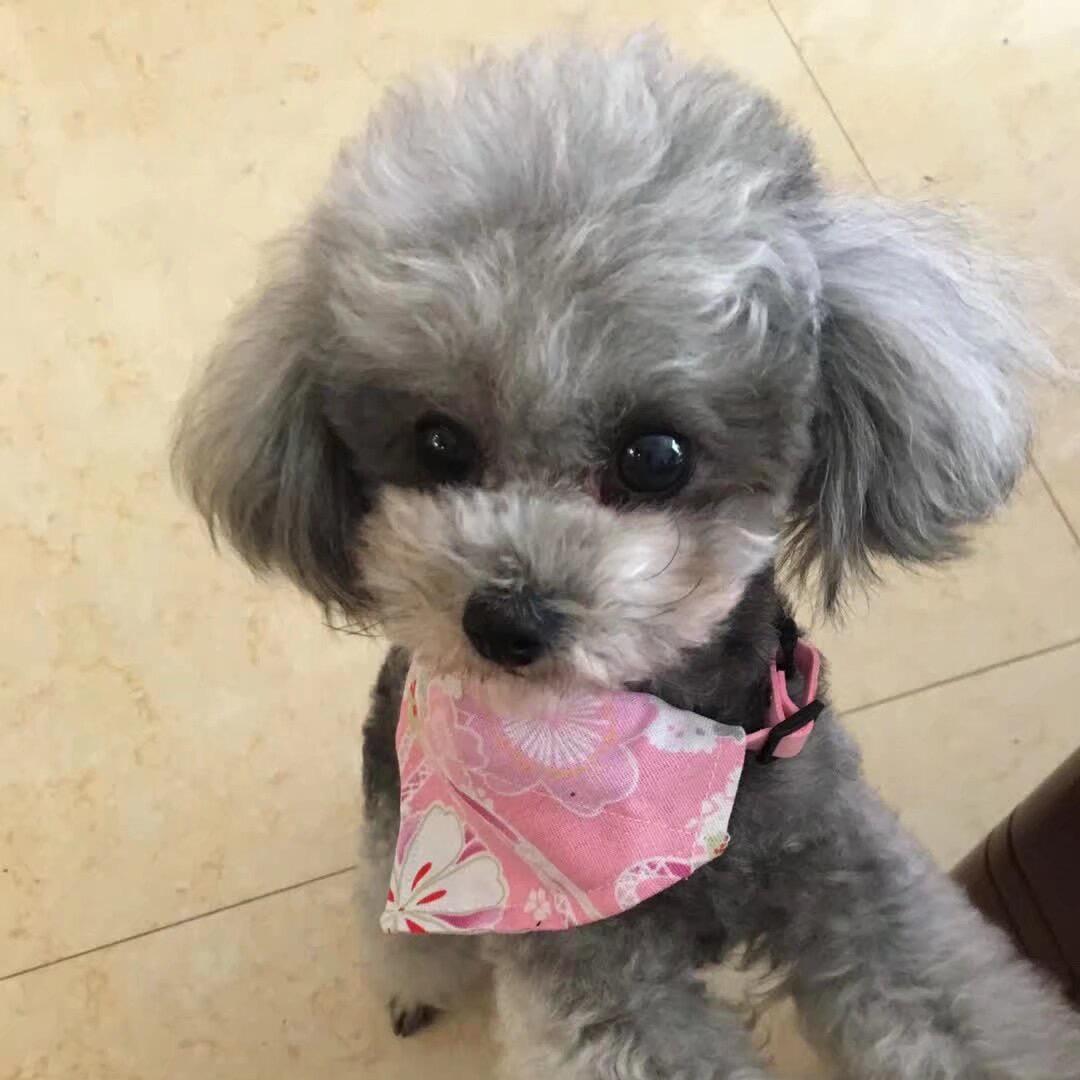 子期呐