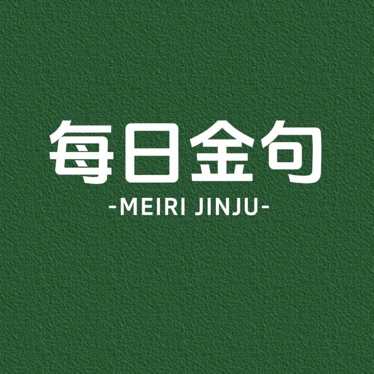每日金句