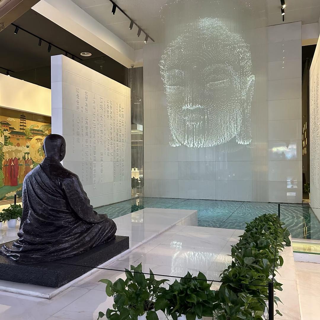 黑乌鸦🌊