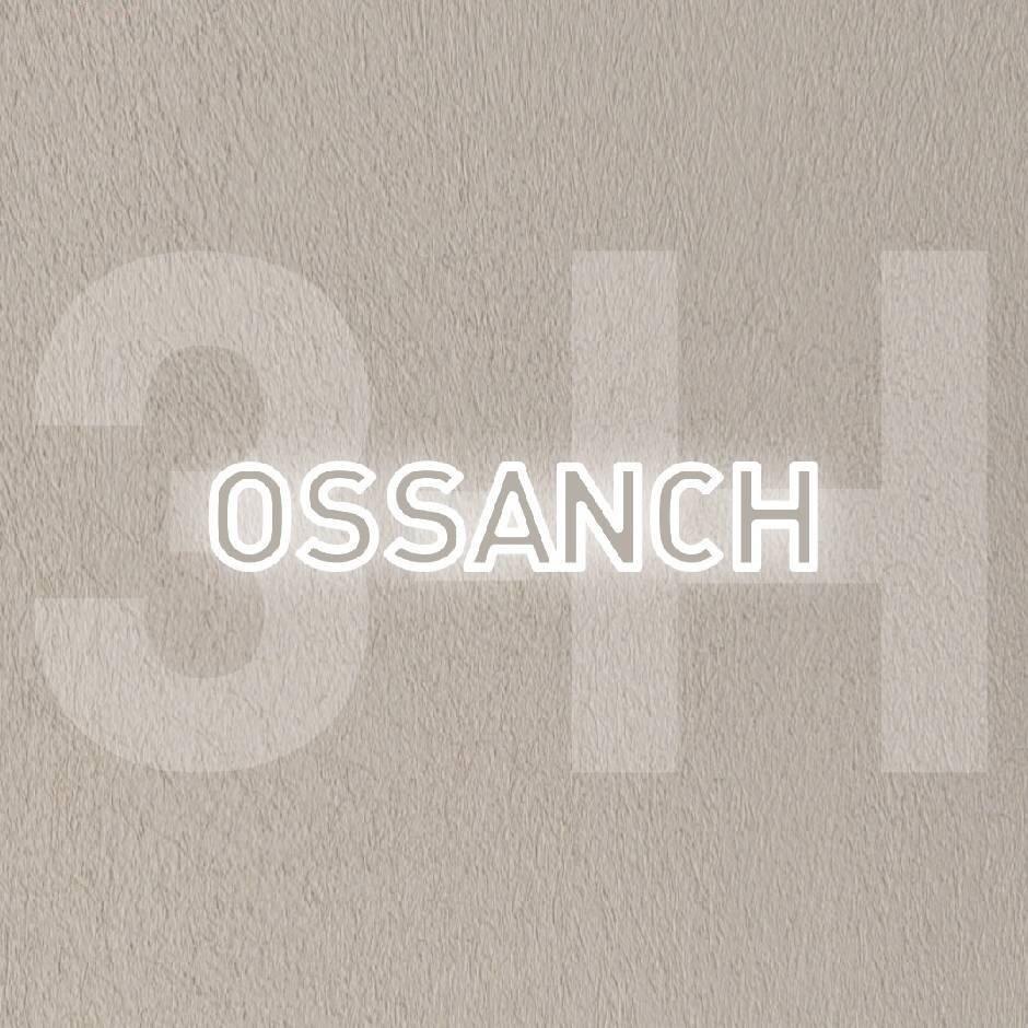 OSSANCH（广汉）