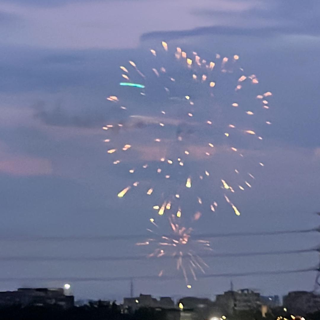 ♥️释迦果