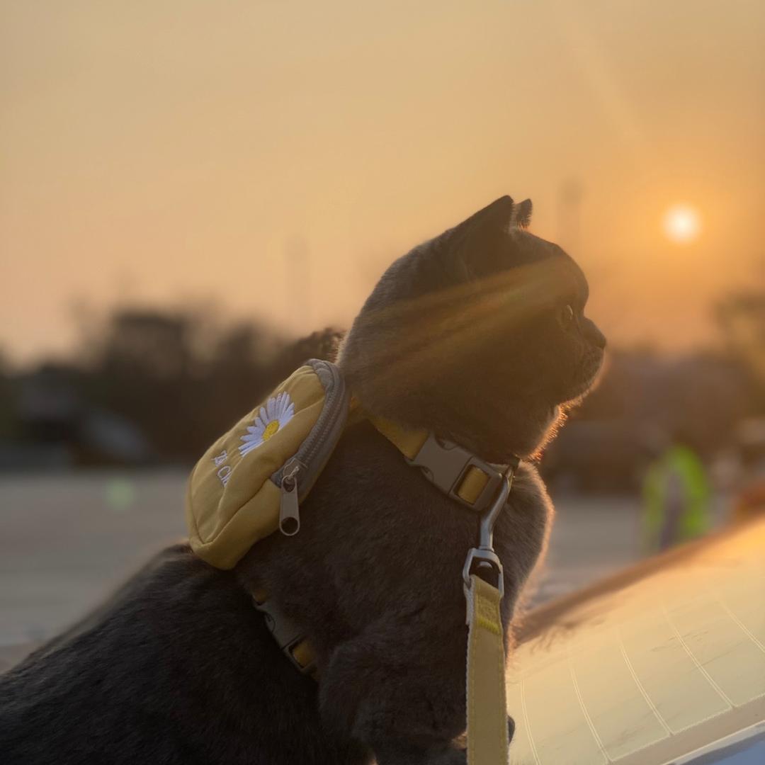 Believe in yourself。