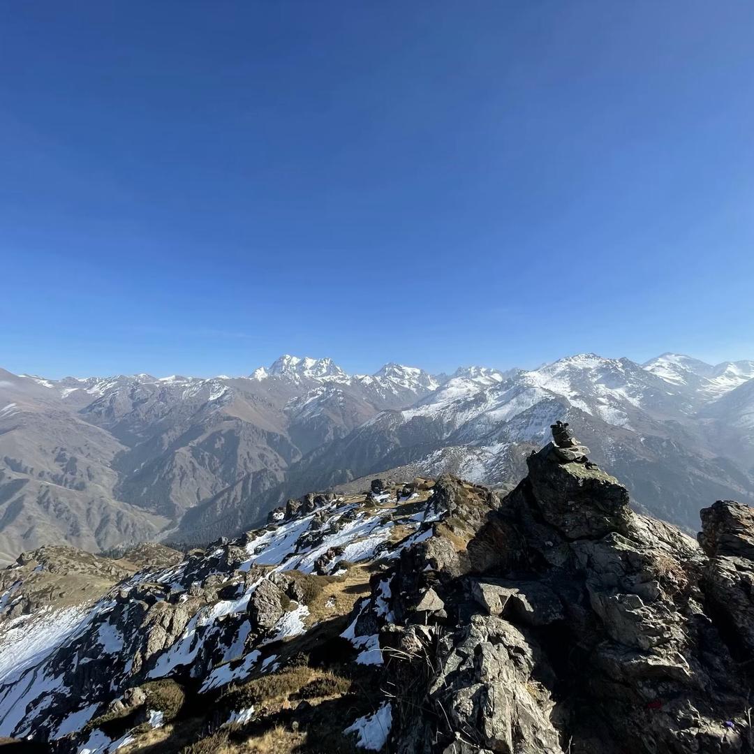 勤劳的小蚂蚁🐜