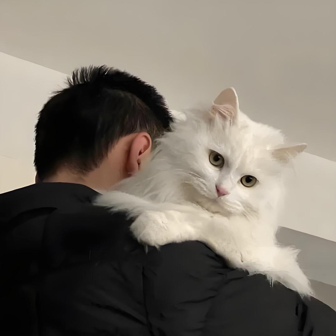 吴亦凡凡