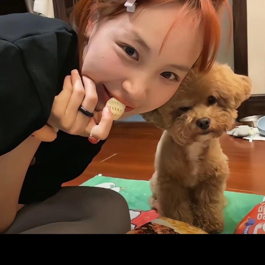 茹