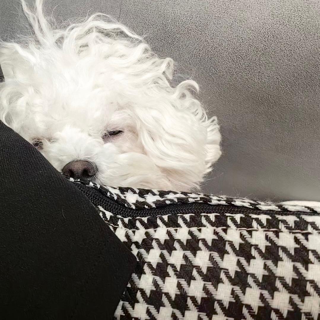 Zzz～