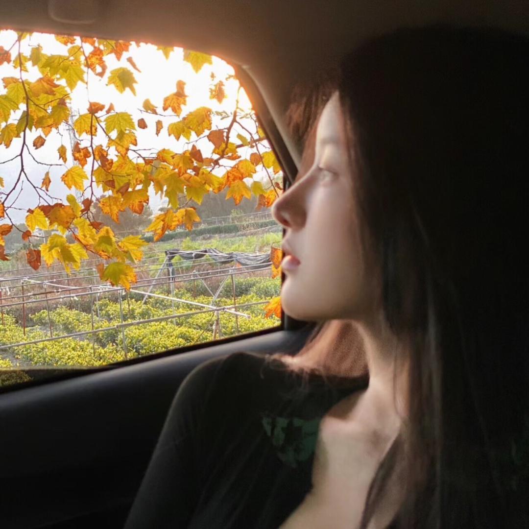 2y·手作（提拉米苏）