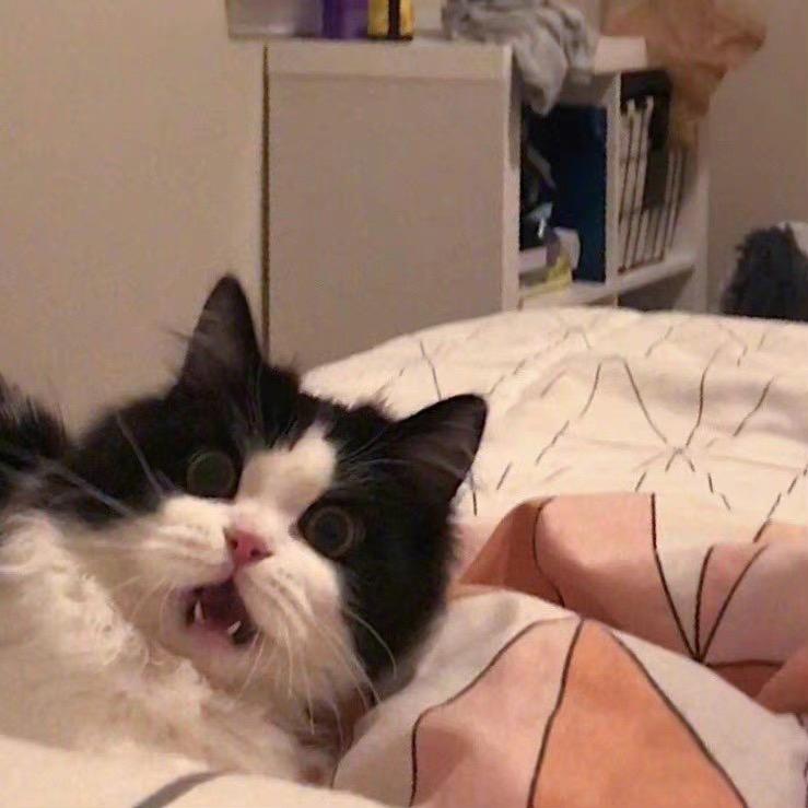 Cc淙淙