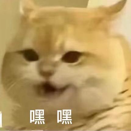 疯狂影视