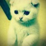 不吃西瓜吃西瓜籽