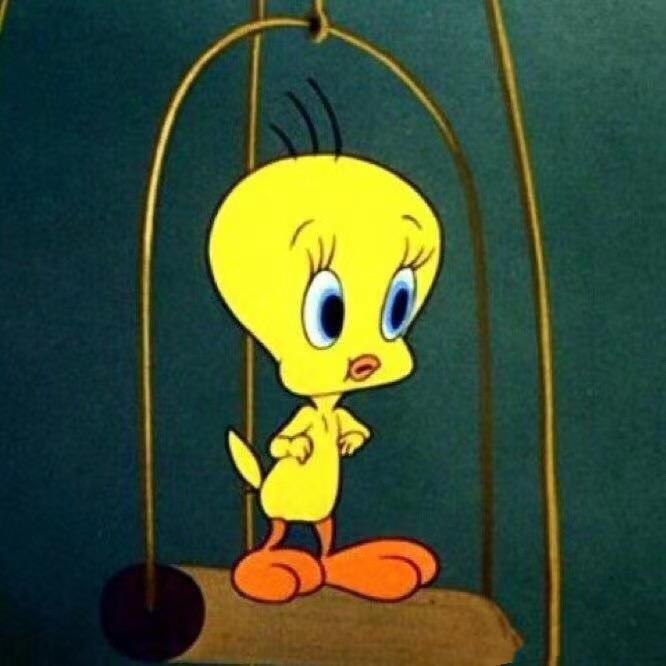 花儿怎么那么红