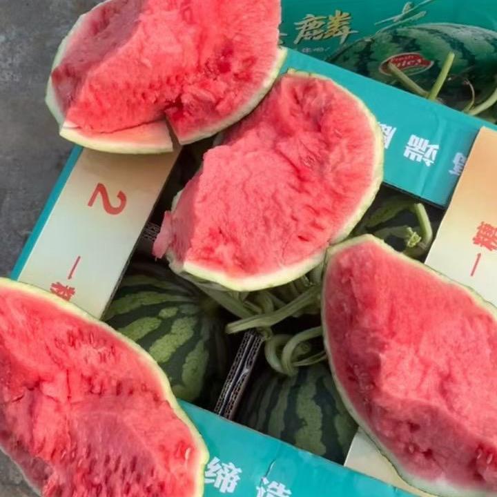 A小涂西瓜橘子产地直供