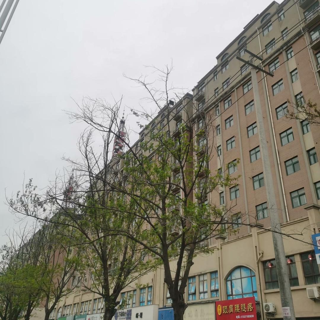 原阳朝宾集市