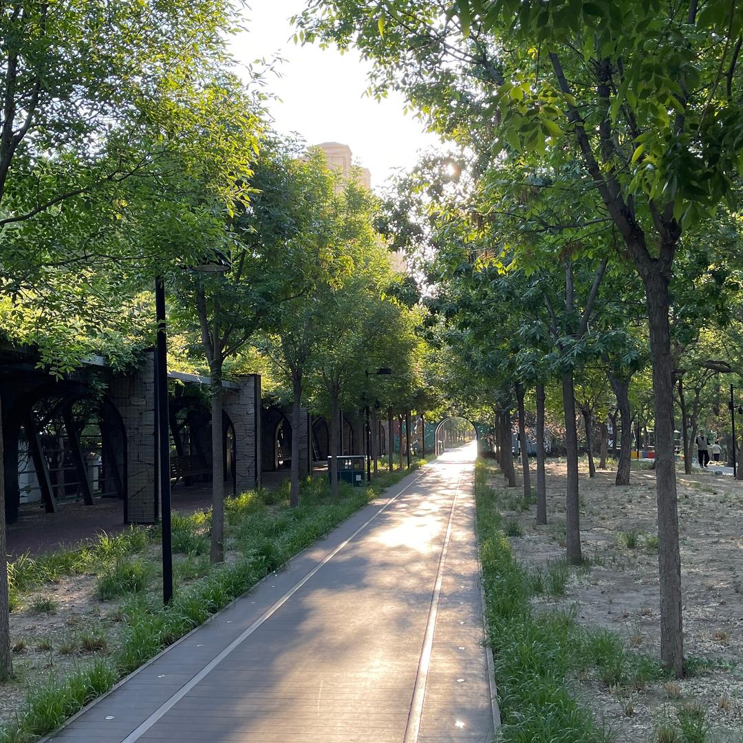 愛寫字的金墩墩