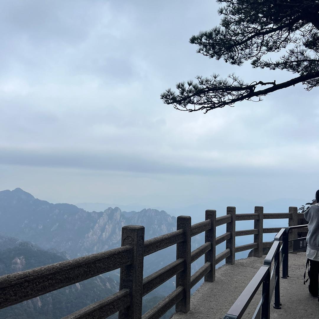 爱丽丝的梦游