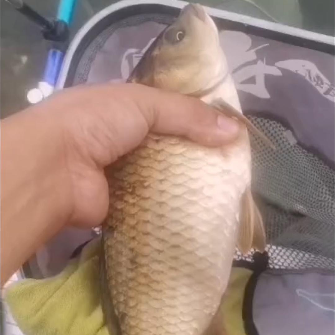 汝河探钓