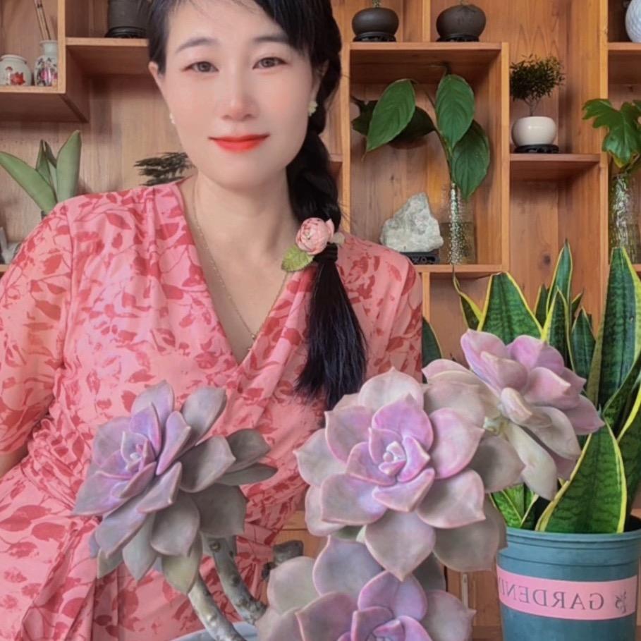 核之灵（阿兰）