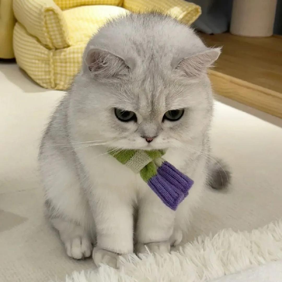 Lucky1（2w分澜暃宫本）