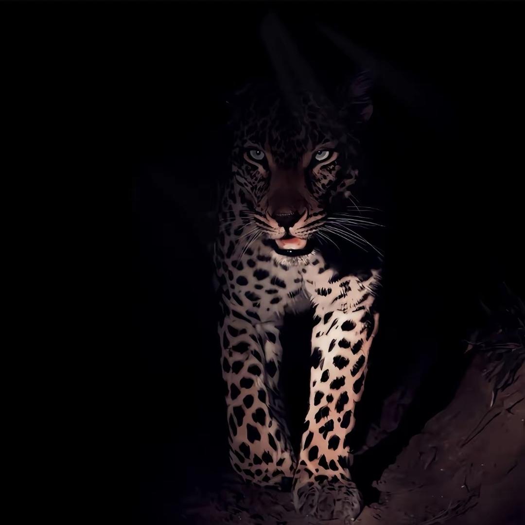 亿辰名车(租满送车)