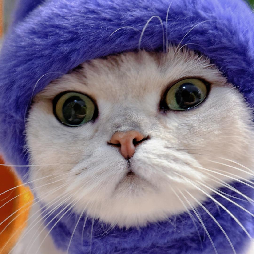 六一&豆包🐱麻麻