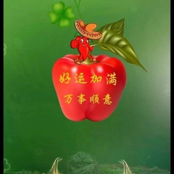高三金