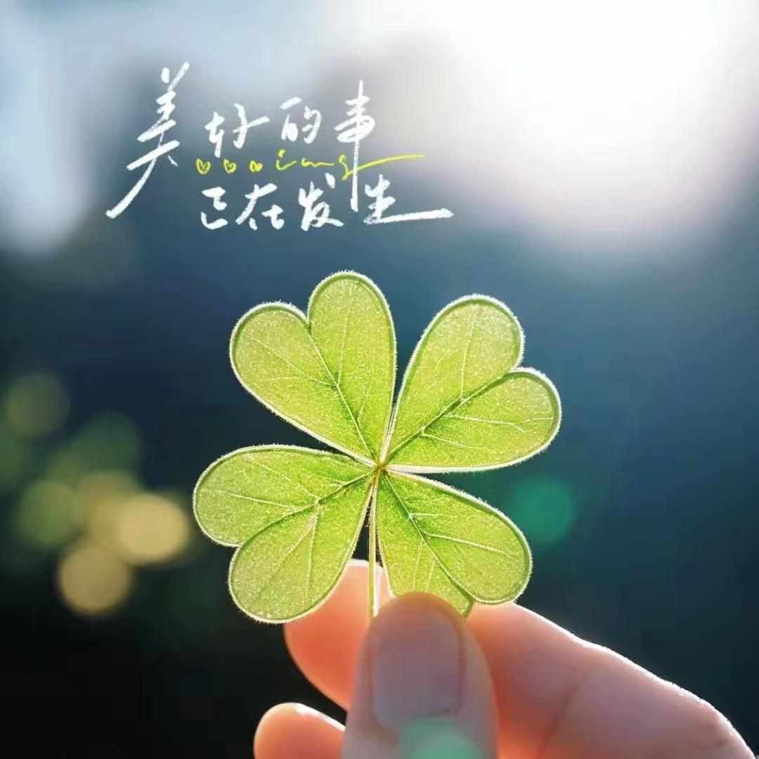 贝壳找房@小张🍀