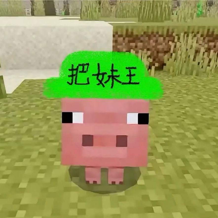 我的世界麻瓜
