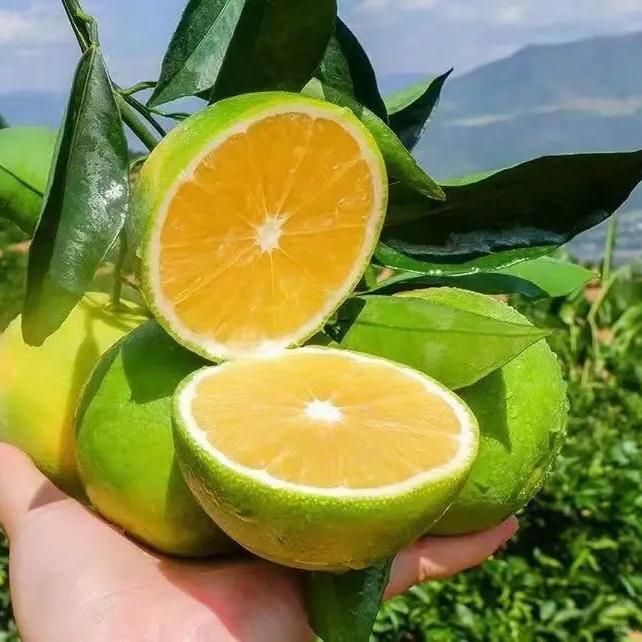 普美芬农副产品店