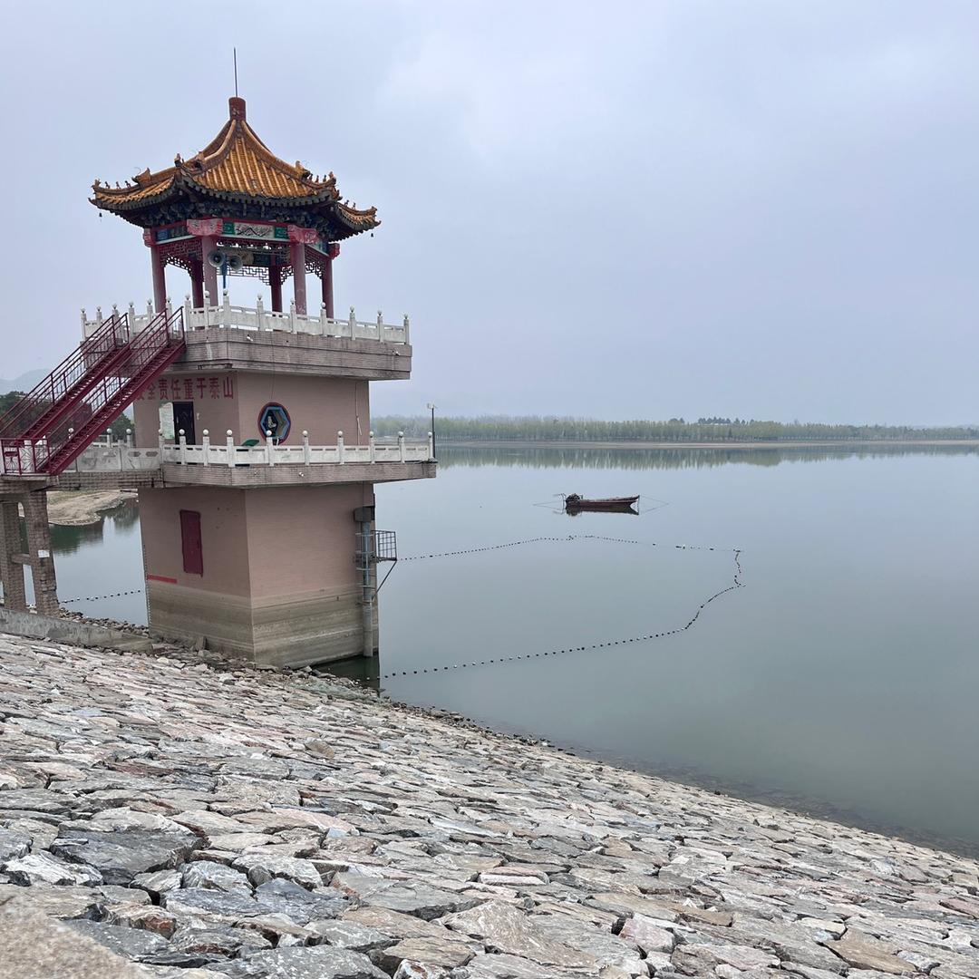随缘自在