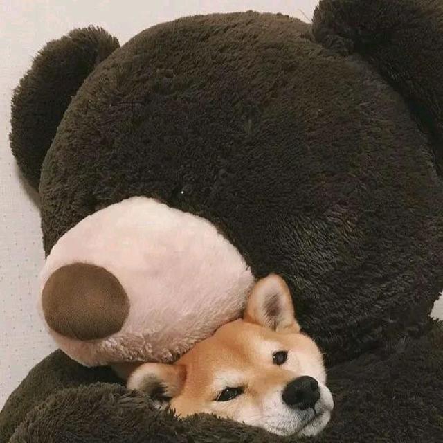 Clb（三角洲行动）