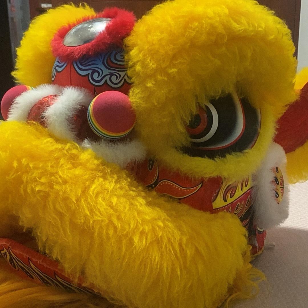 会舞狮的楠通姐🦁