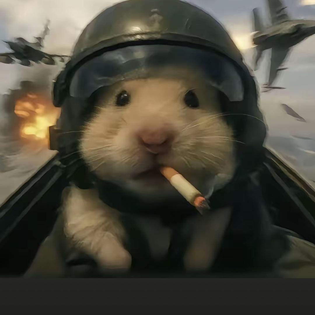兜多鱼了