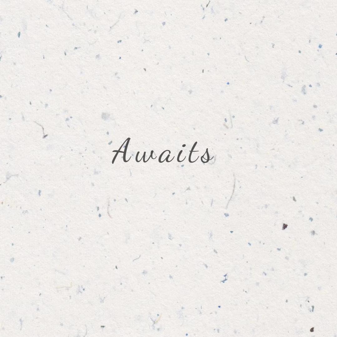 火火兔🔥（努力搬砖版