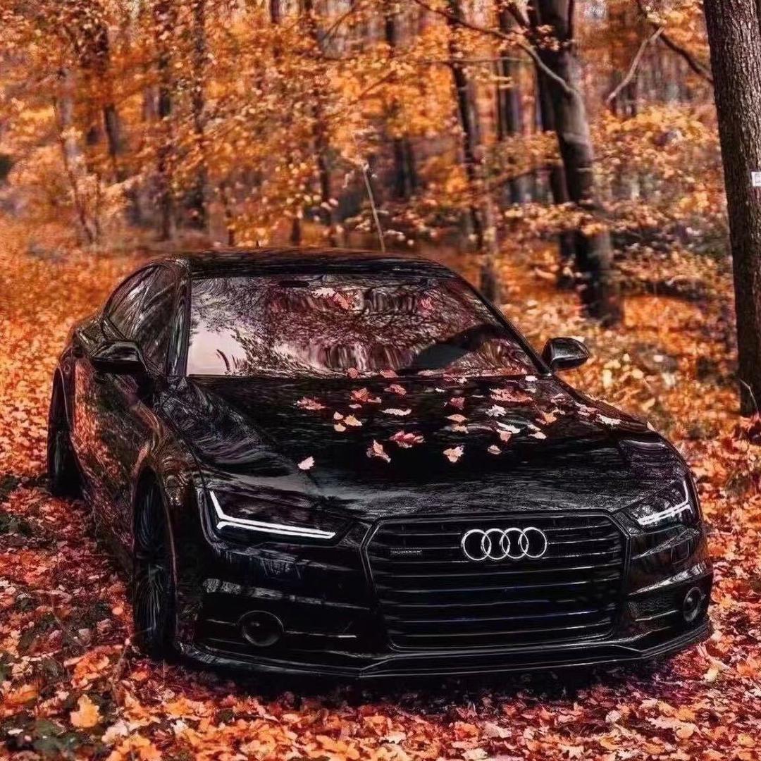 重庆原速度二手车峰哥说车