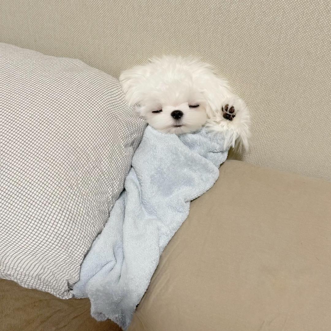 july