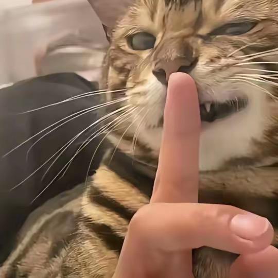甄选优选好物