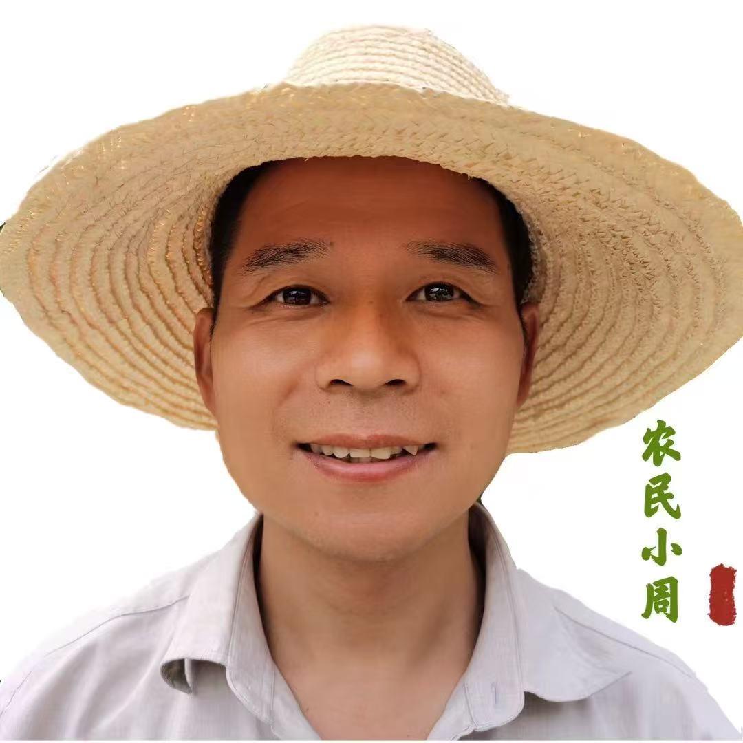 农民小周