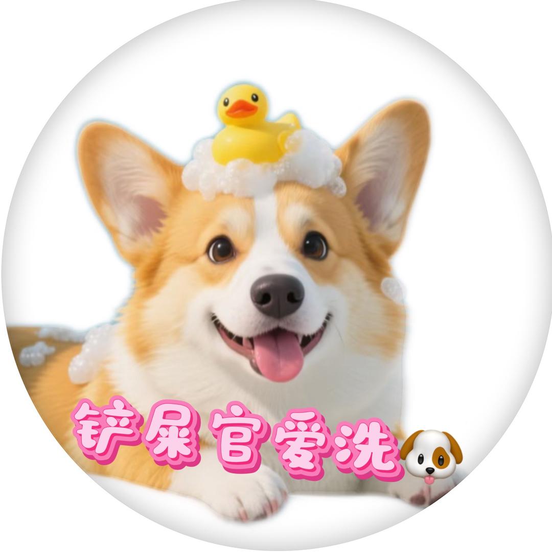 柯基们的铲屎官爱洗🐶