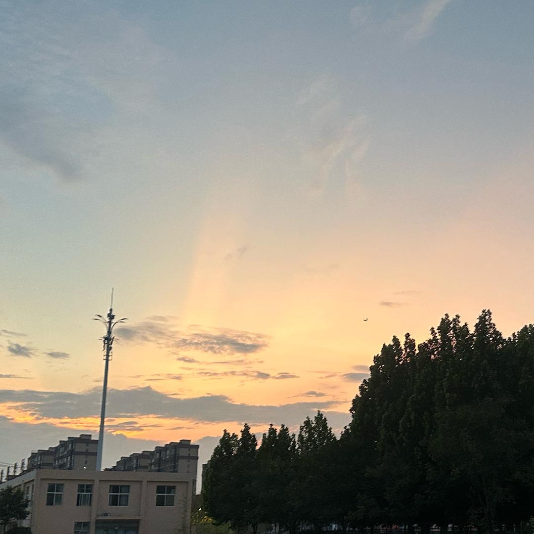 陳宸