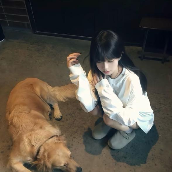 刀我别碰她