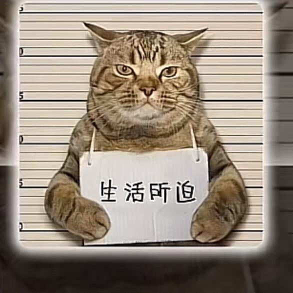 NI的一生