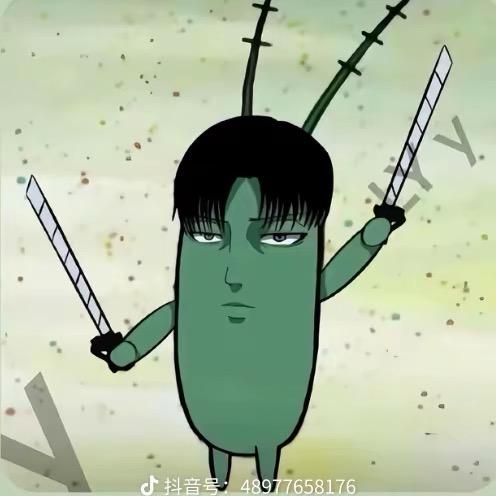 会中分的门牙
