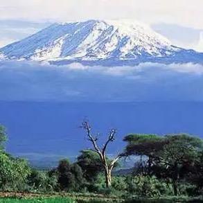 乞力马扎罗的雪🎧ʸⁱ