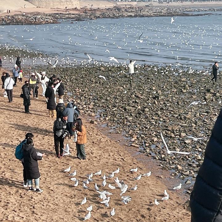 青岛旅拍