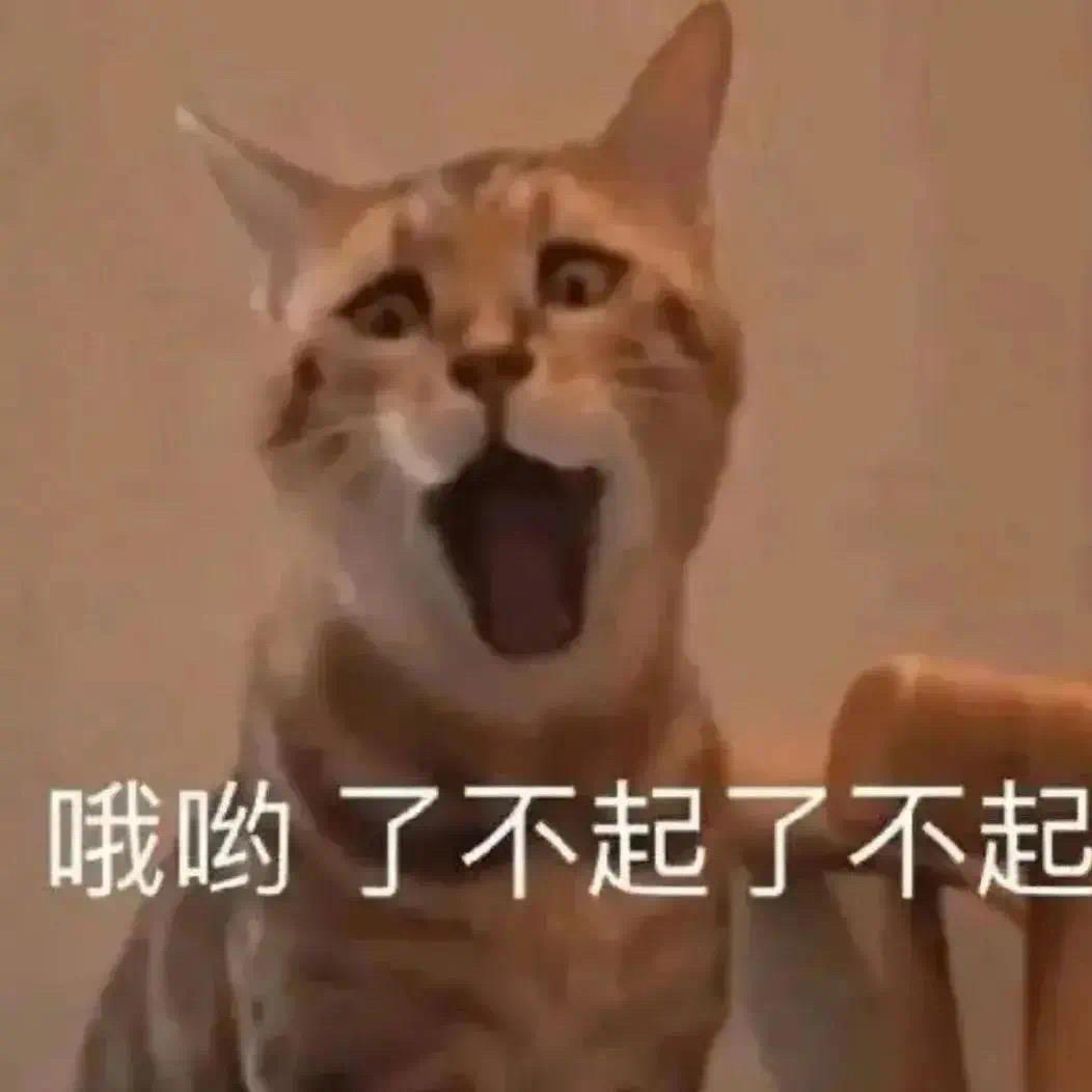 Y：